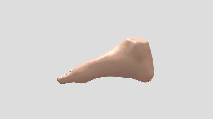 My Foot 3D Model