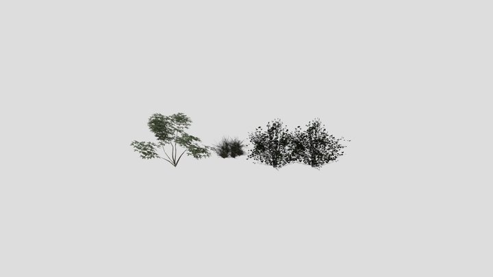GRASS1 3D Model