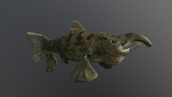 Toadfish 3D Model