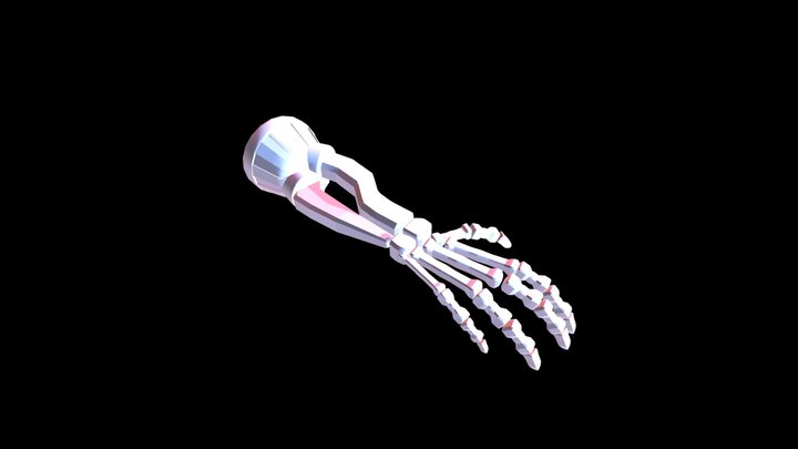Sea of Thieves Skeleton Arm Prosthetic 3D Model