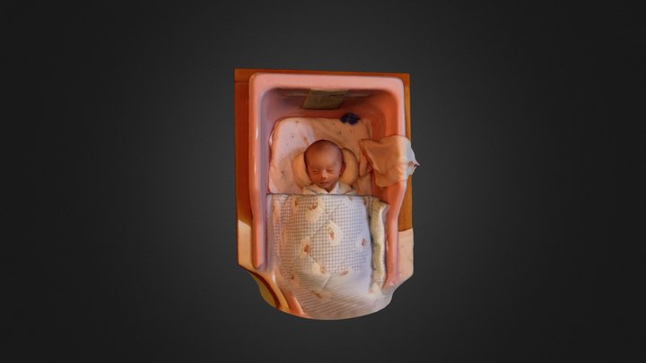 20150221 Baby1 3D Model