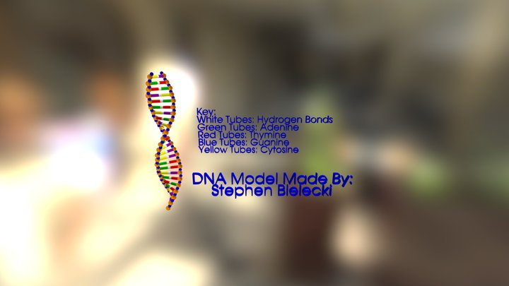 DNA- Model 3D Model