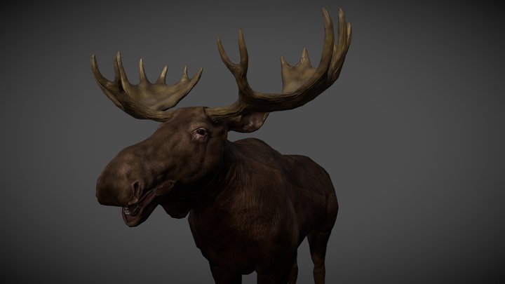 3D model of Acles FREE 3D Model