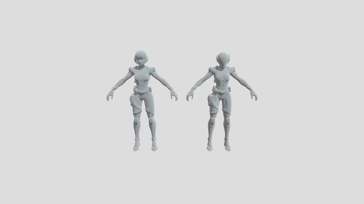 The Order Fortnite 3D Model