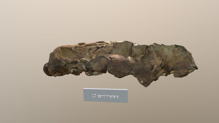 Giantgroundsloth 3D models - Sketchfab