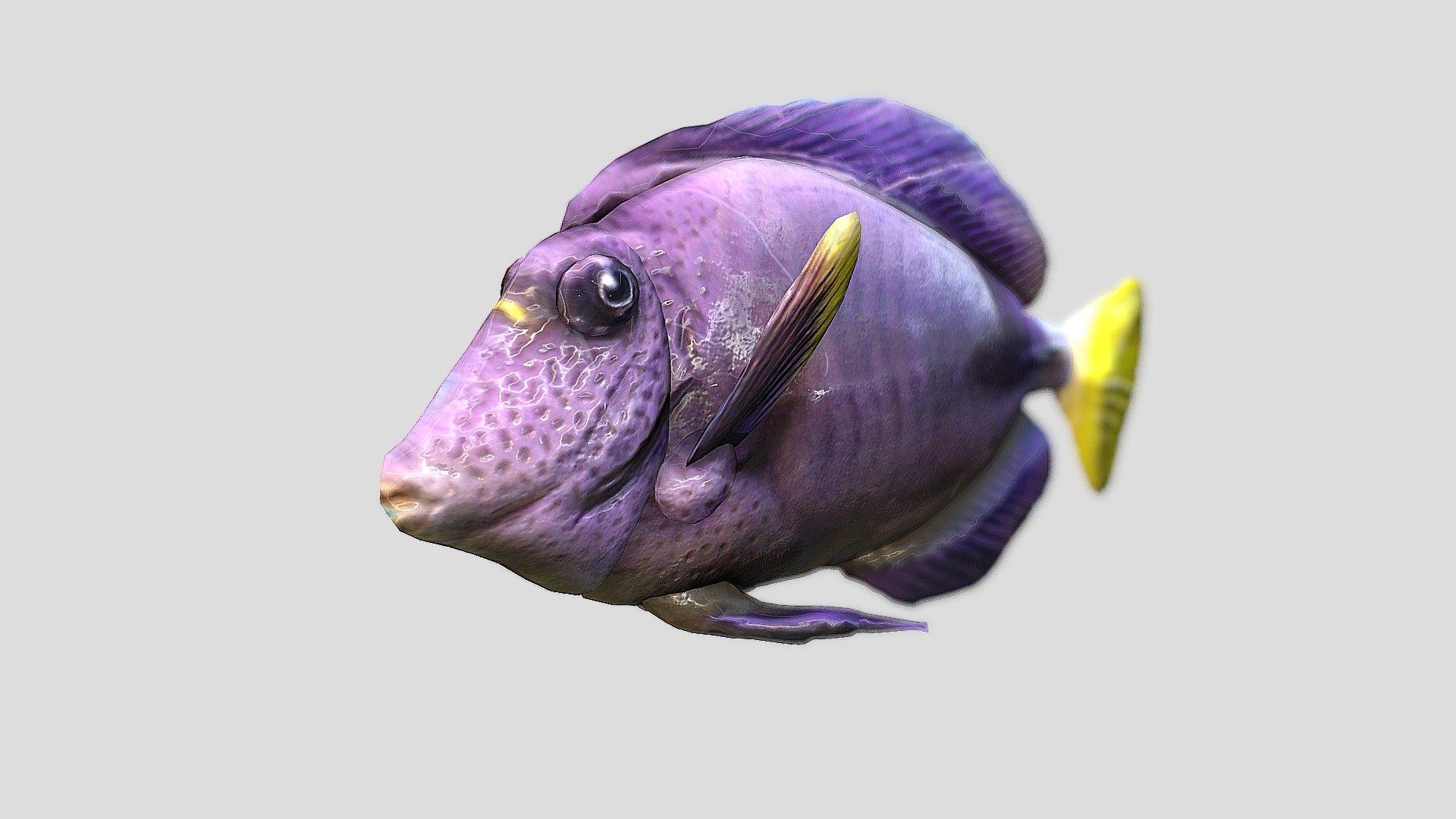 Fish1117