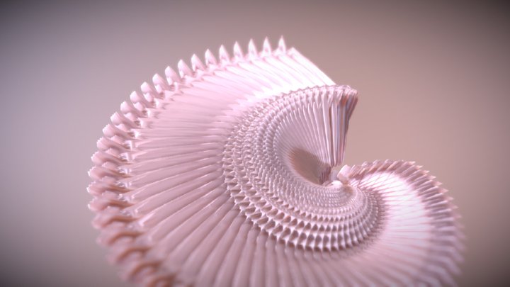 Spiral 3D Model