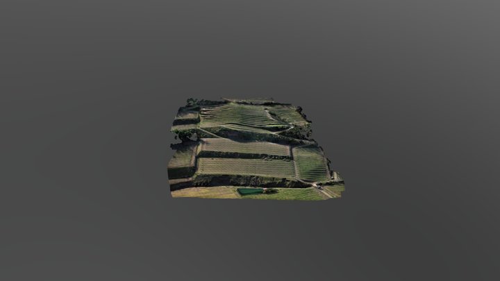 Carbonare 3D Model