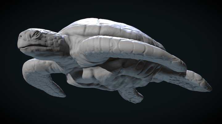 Green Turtle – Modelo 3D gratuito STL