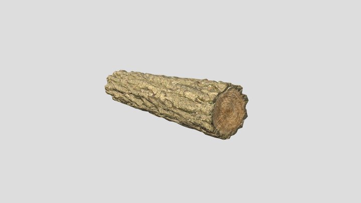 Low Poly Log 3D Model