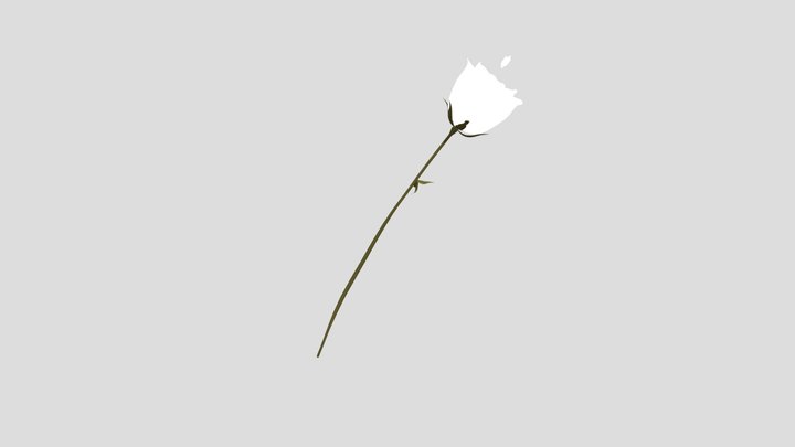 Rose Animated 3D Model
