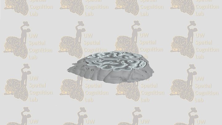 Axial Slice 2