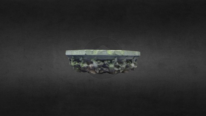 AB 02 Decimated Top Halve C13 N0 3D Model
