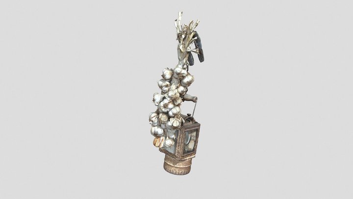 Garlic scan 3D Model