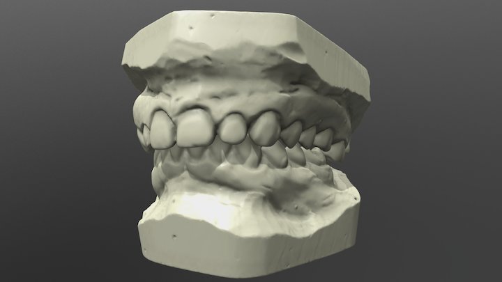 Arcate Dentali (LowPoly) 3D Model
