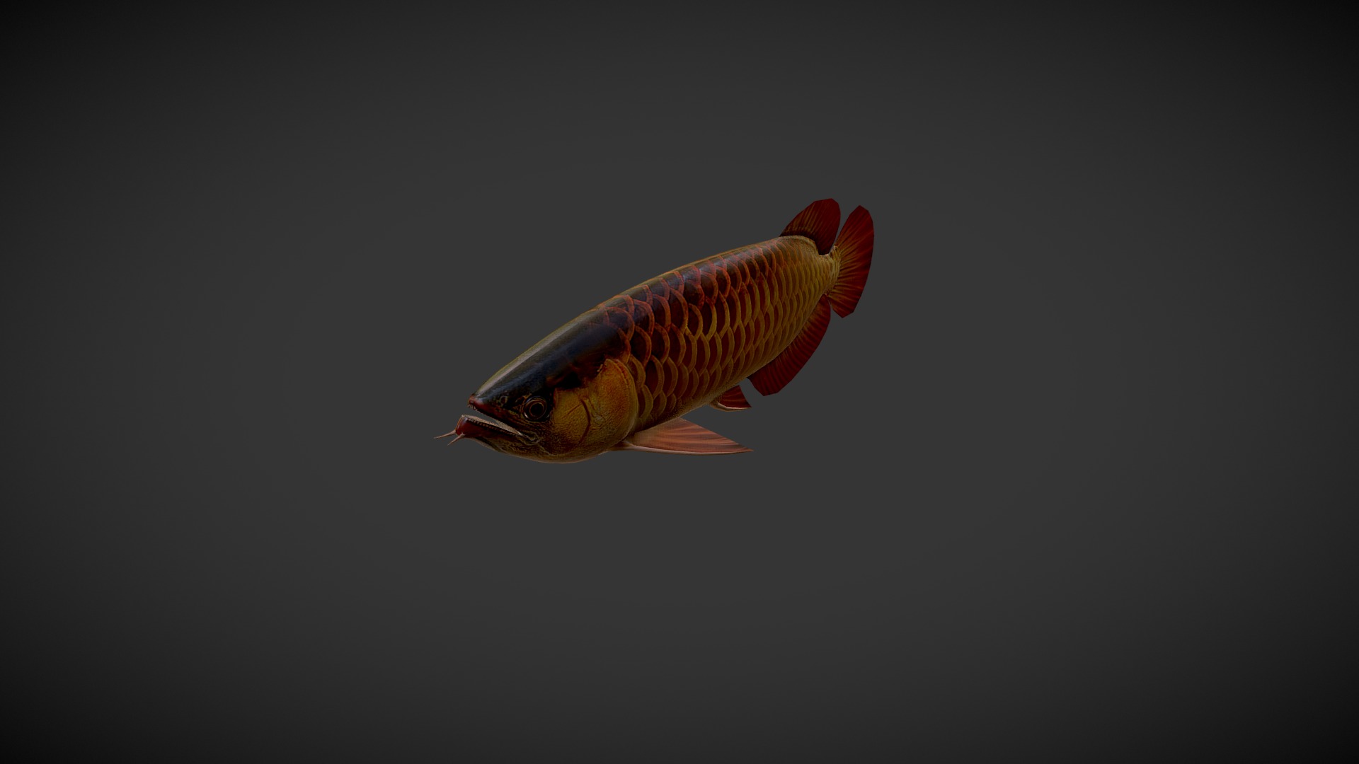 3D model Dragon Fish - This is a 3D model of the Dragon Fish. The 3D model is about a fish swimming in the water.