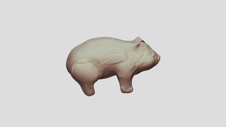 Wombat 3D Model