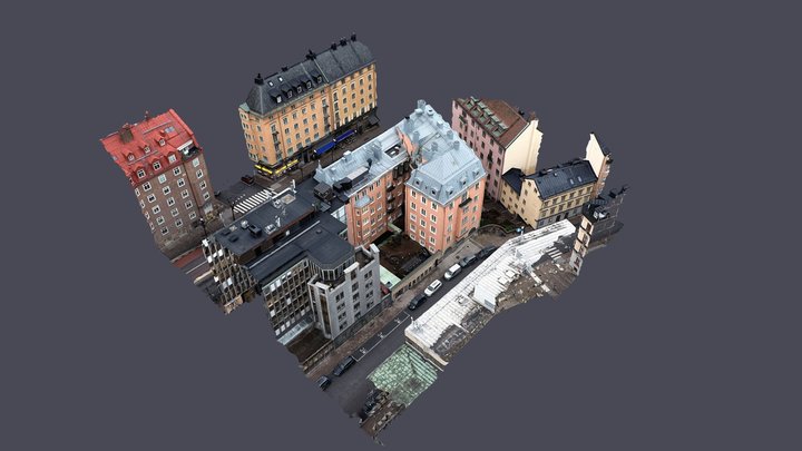 Såpsjudaren 3D Model