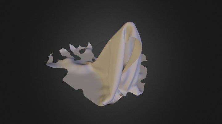 Cloak 3D Model