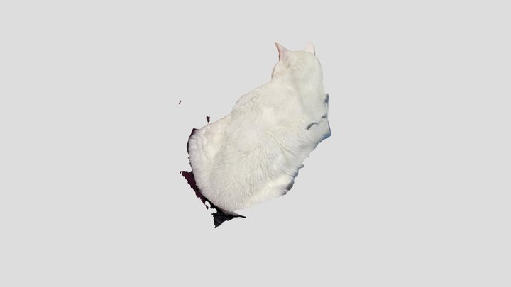 Gato Thanos 3D Model