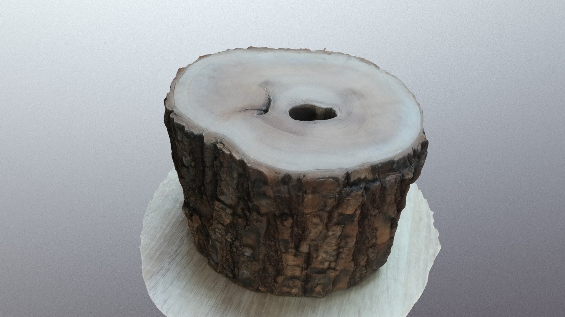 tree truck with texture
