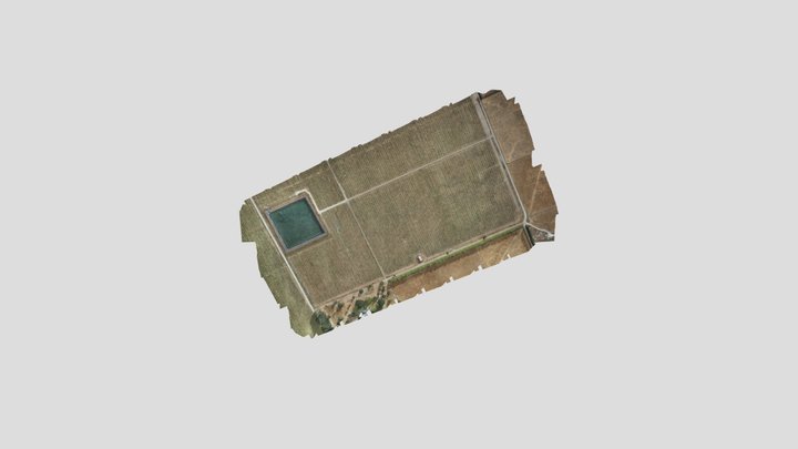 Townley/Misty 3D Model