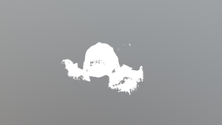 Face testing 3D Model