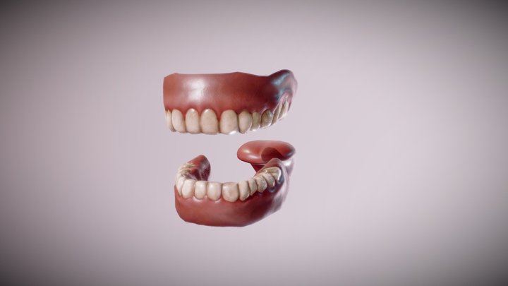 Teeth + tongue 3D Model