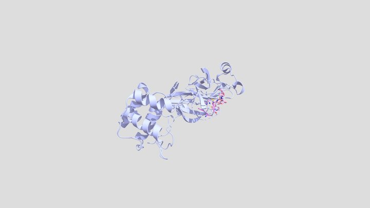 SARS-CoV-2 Protease and Nirmatrelvir 3D Model