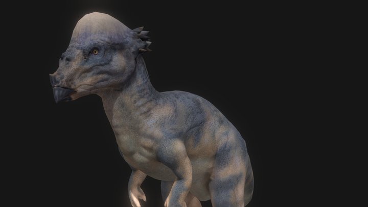 PBR Pachycephalasaurus (Animated) 3D Model
