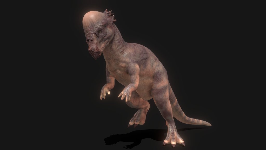 PBR Pachycephalasaurus (Animated)
