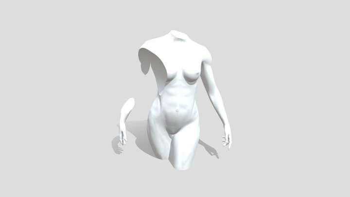 BODY_MODIFY 3D Model