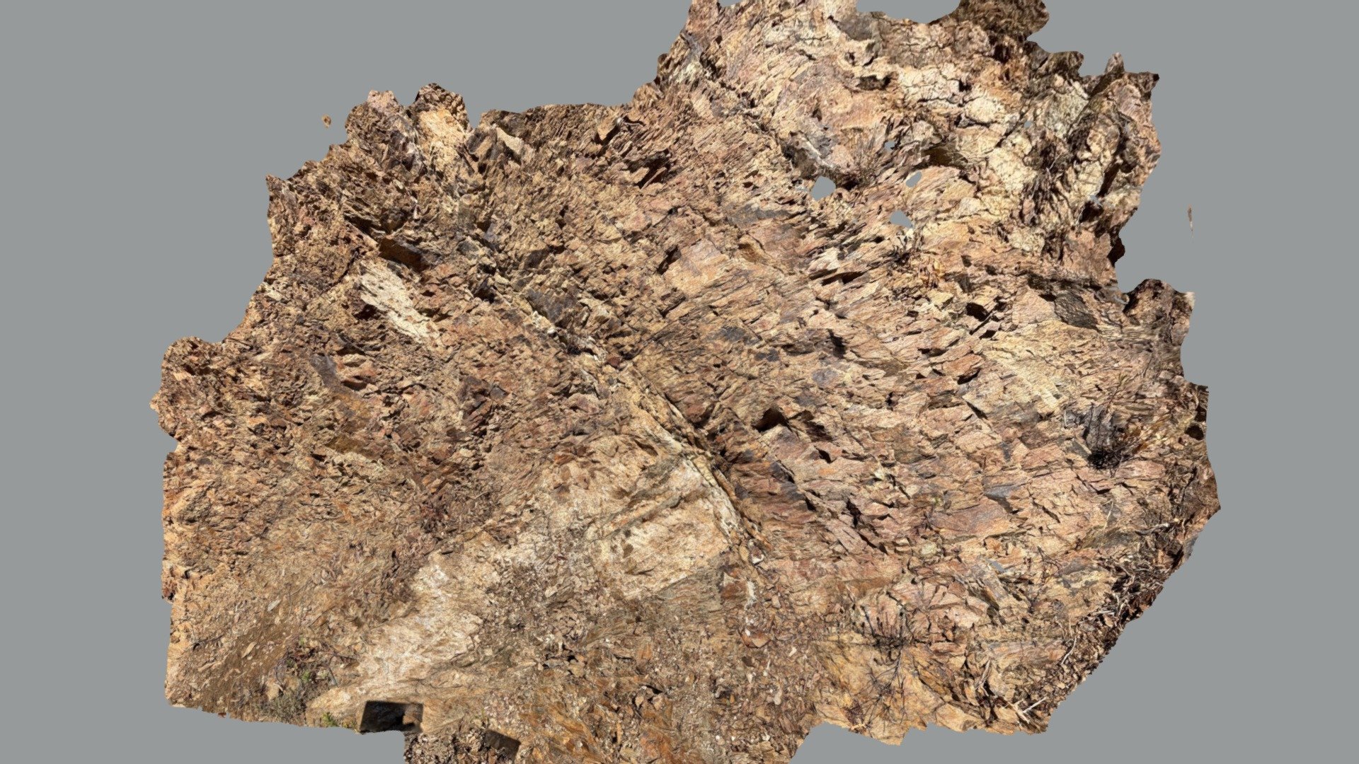 Gneiss oeillé du Massif du Tanneron