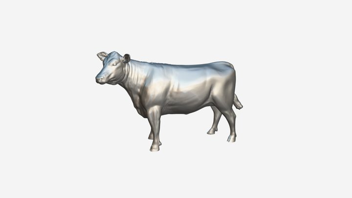 Young Herford Heifer Cow 3D Model