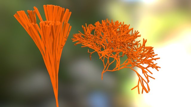 Coral (some of it, these models are heavy!) 3D Model