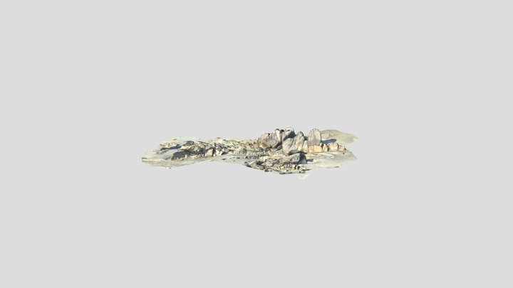 Rocher - Carnac plage 3D Model
