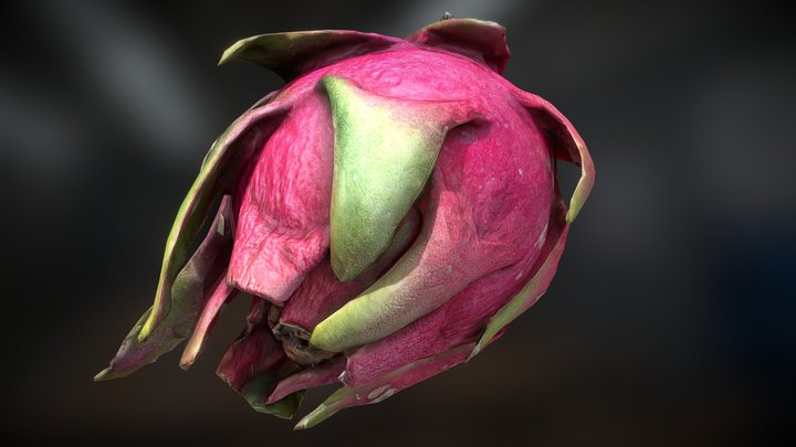 Dragon Fruit (Pitaya) 3D Model