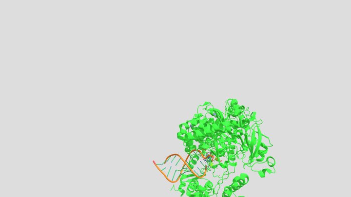 Remdesivirs interactions with Covids RdRp 3D Model