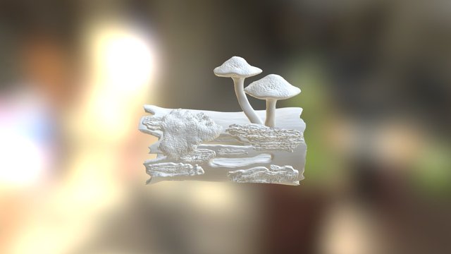 Mushrooms and Log 3D Model