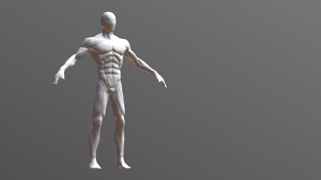 Anatomy study Basemesh Human Male Body Download Free 3D
