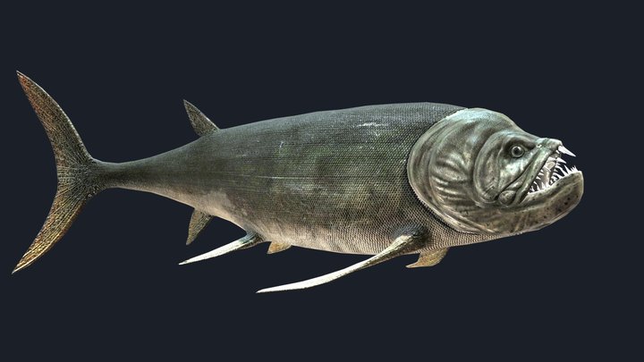 Xiphactinus 3D Model