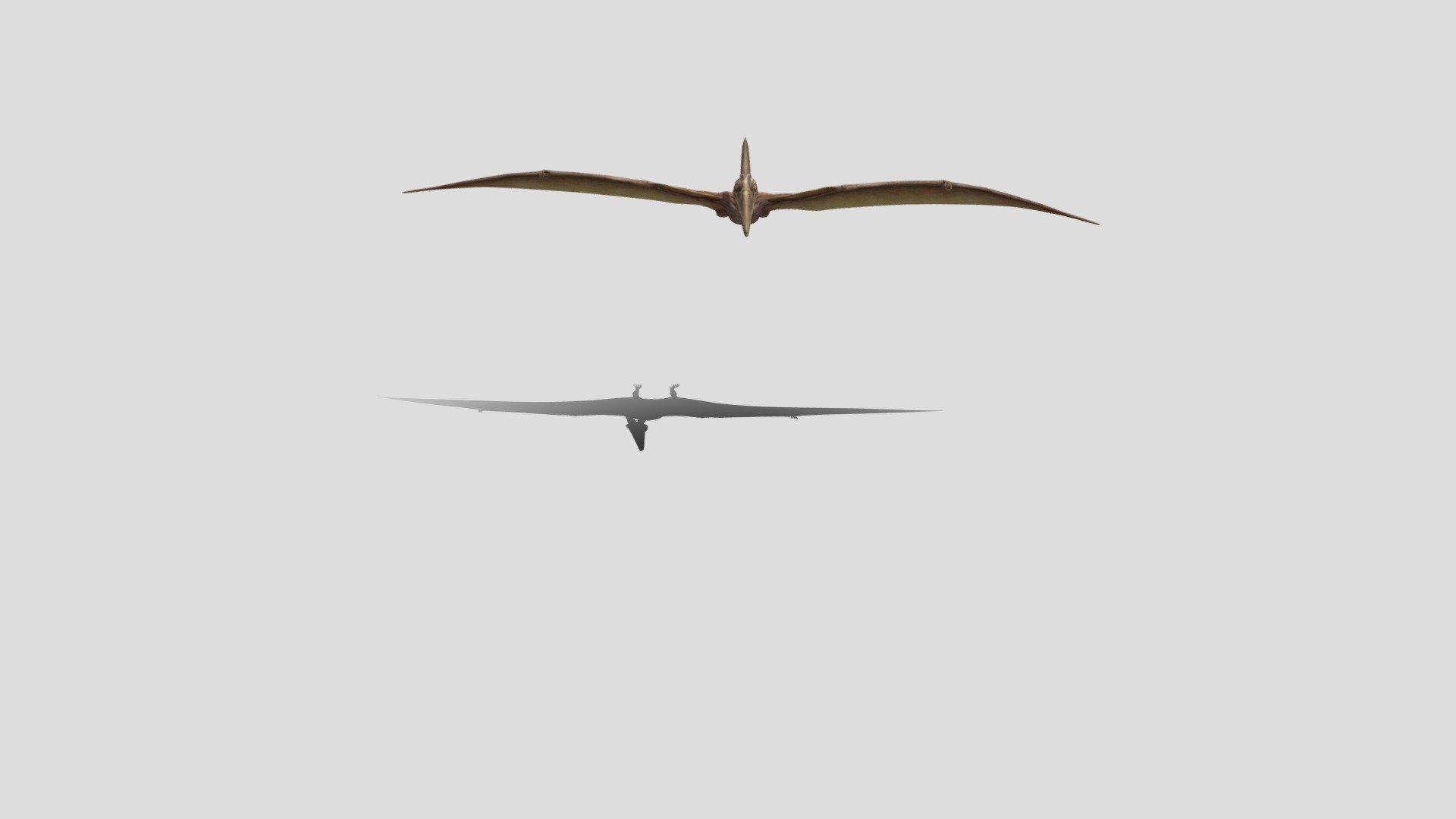 Premium PSD  Flying pterodactyl isolated on transparent background