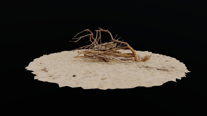 Driftwood_005_(object_on_the_beach) – Modello 3D gratuito STL