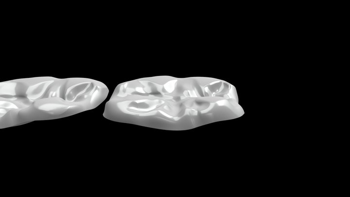 OVC- Flattened 3D Model