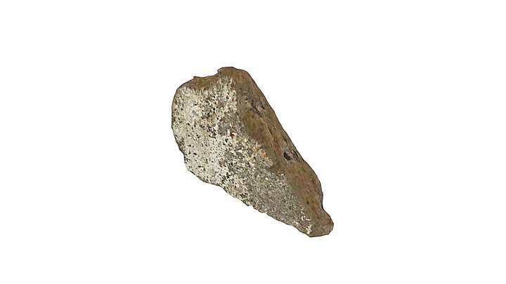 Dead skin cell_107 3D Model