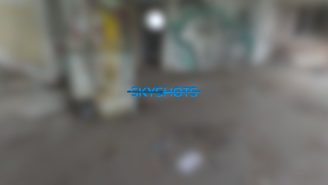 Skyshots Logo 3D Model
