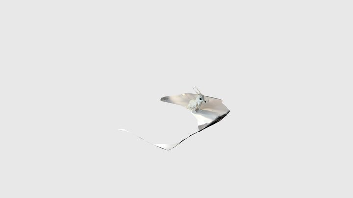 Hase 26 3D Model