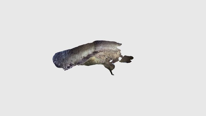7 3D Model
