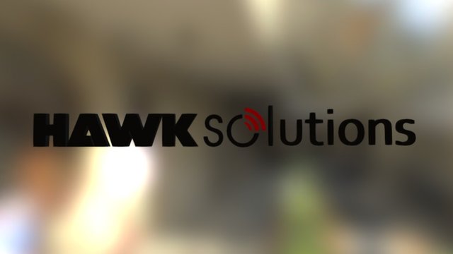 Hawk Solutions Logo 3D Model