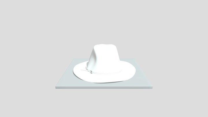 Fedora Hat Final File 3D Model